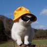 Profilbild von Jiya