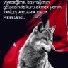 Ergül Güzel profil fotoğrafı