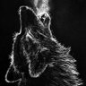 wolfwear🐺 profil fotoğrafı
