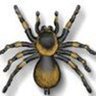 theSpider1961 的头像