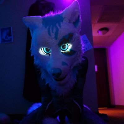 zakfusky's profile picture