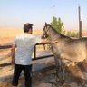 Фото профиля محمد الثامر