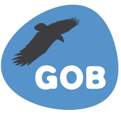 GOB Mallorca's profile picture