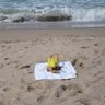 SandyToes profil fotoğrafı