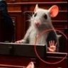 Gordo Cacho's profile picture