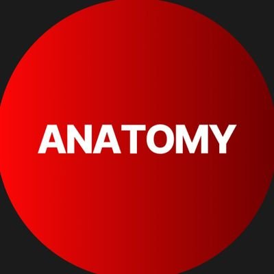 ANATOMY's profile picture
