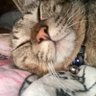 *かよ*'s profile picture