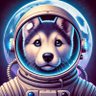 Profilbild von JAX