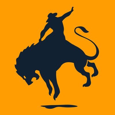 RideLionStudios's profile picture