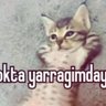 Emin Öztürk's profile picture