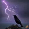 Corvo do Trovão's profile picture