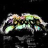 Ziltch🌐's profile picture