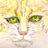 ひかりの騎士まーくん's profile picture