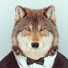 Profilbild von Diego Dionisio