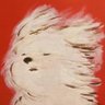 Victoria's profile picture