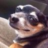 bea's profile picture