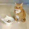 orange's profile picture