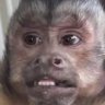 Profilbild von Raul