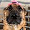 Emily Grace's profile picture