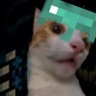 Un wey De minecraftXD 的头像