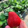 まさひと 的头像