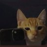 scoob profil fotoğrafı