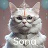 Sona🐾🇮🇳's profile picture