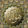 Фото профиля Alz A