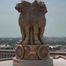 Mashru Chaudhary's profile picture