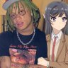 Profilbild von rillo