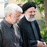 سید هادی's profile picture