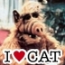 ALF profil fotoğrafı