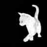 ilv profil fotoğrafı