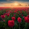 Фото профиля M. R