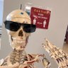 💀عزيز جمجوم💀 的头像