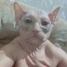 Joana profil fotoğrafı