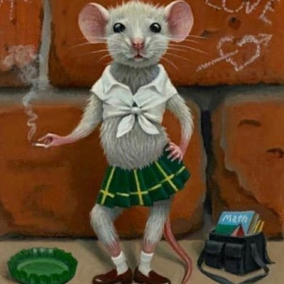 دوكتآ تينما's profile picture