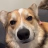 Cody's profile picture