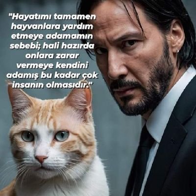 ву ѕєяѕєяу's profile picture