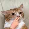 แล้วแต่ชีวิต จะคิดคนละแบบ's profile picture
