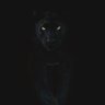 Фото профиля BlackPanther