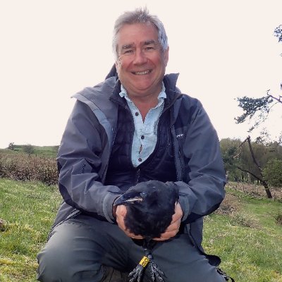 BroomfieldKeith's profile picture