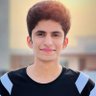 Samar Jamil's profile picture