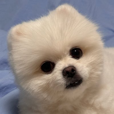 slo-mo³'s profile picture