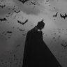 Profilbild von 🦇