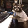 Фото профиля So I Made My Own 🦝