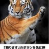 Profilbild von 野村聡史