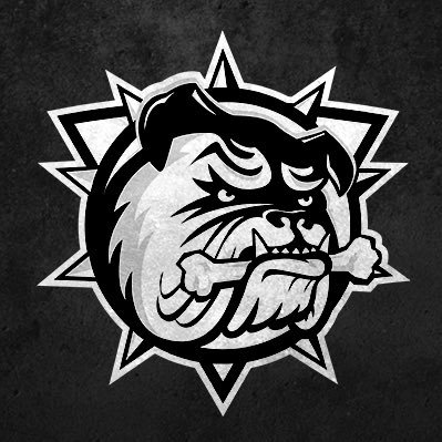 BulldogsOHL's profile picture