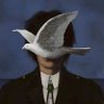 Fools.'s profile picture