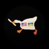 Фото профиля Angry Goose 🇺🇸